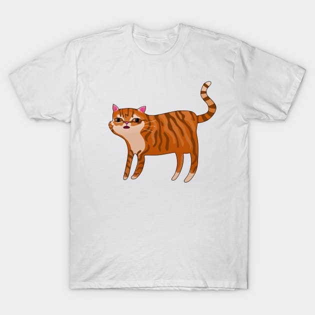 Orange tabby cat shirt sales
